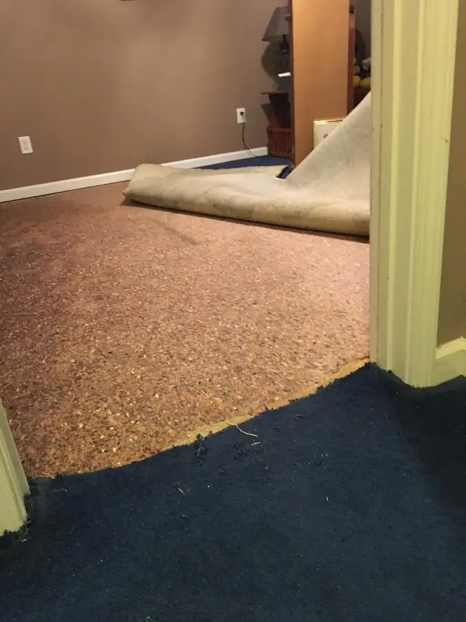 Carpet pad removal revealing water damage during Water Mitigation Services in Portsmouth