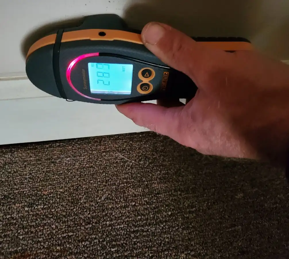 Moisture detection at baseboard during Sewage Cleanup & Sanitation in Portsmouth